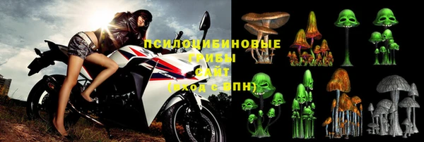 стафф Арсеньев