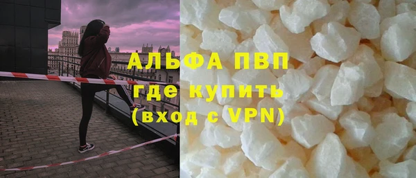 стафф Арсеньев