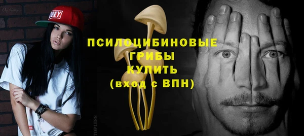 apvp Армянск