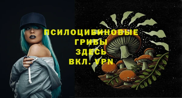 apvp Армянск