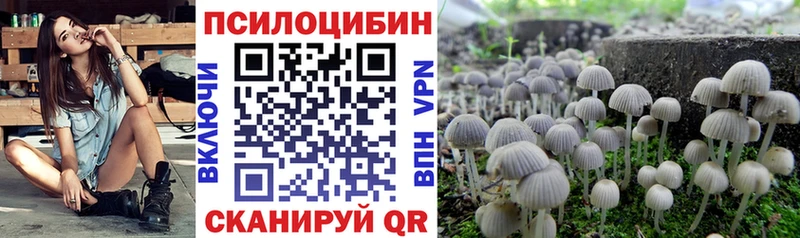 Псилоцибиновые грибы Psilocybe  наркотики  гидра зеркало  Петровск 